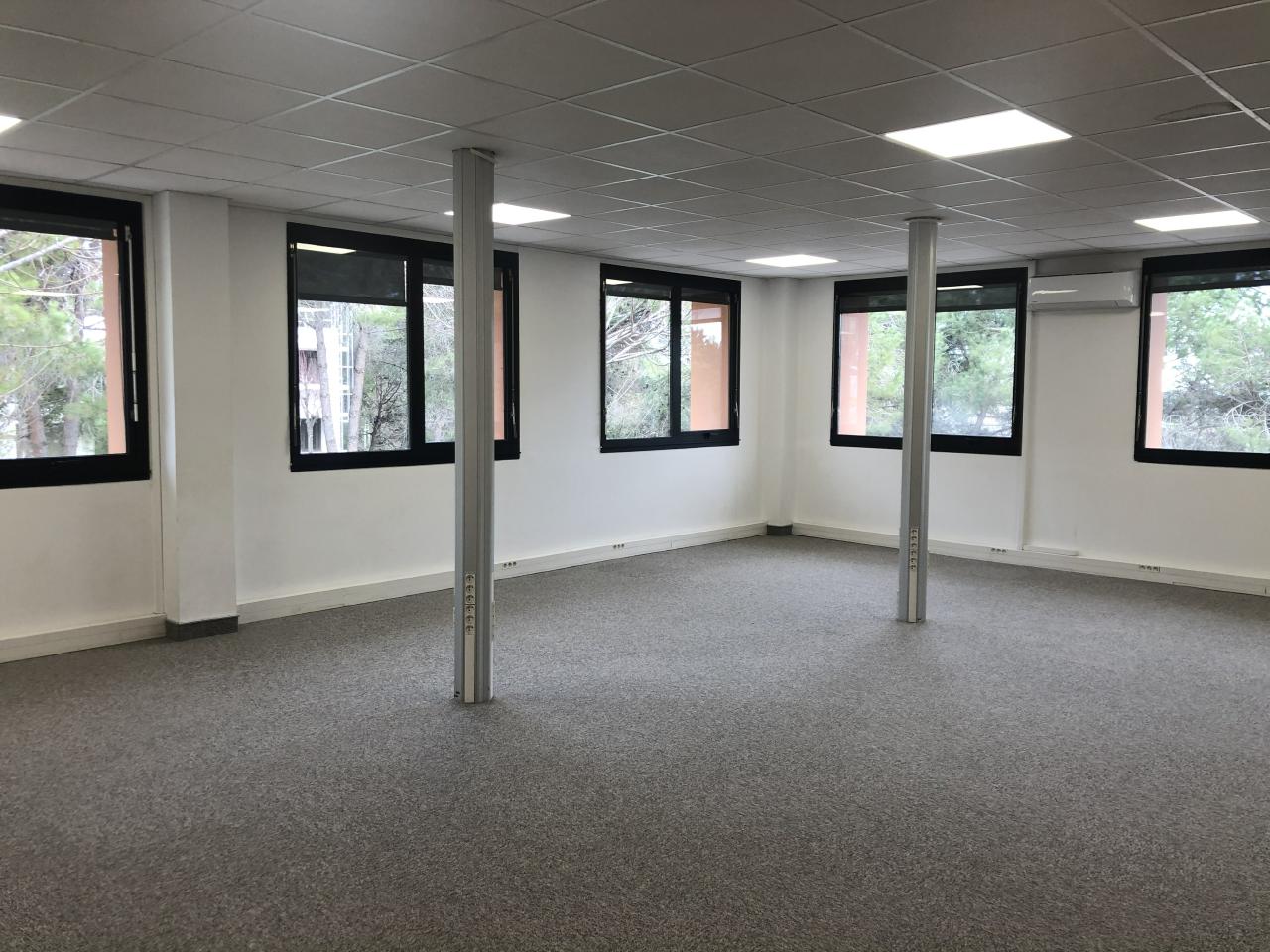 Bureau Sophia Antipolis 545m² Location bureau Sophia Antipolis Alpes-Maritimes OLBUR2114913 7